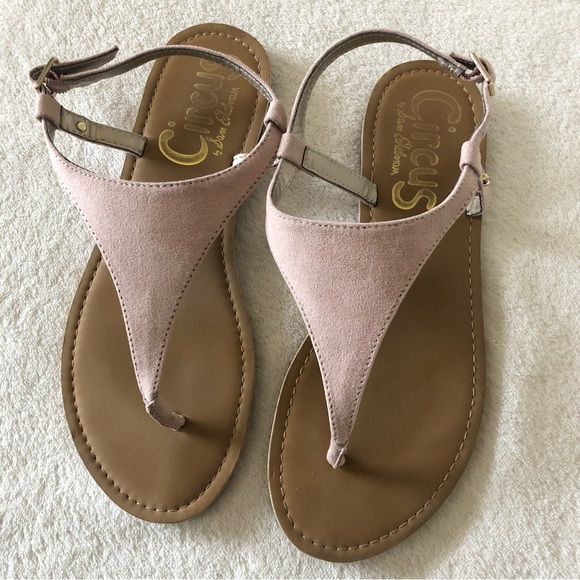 Circus by Sam Edelman Bianca blush pink thong sandals - Picture 1 of 6